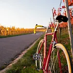 Dreamfactory - Wine Escapes 1br #