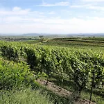Dreamfactory - Wine Escapes 1br # Апартаменты *