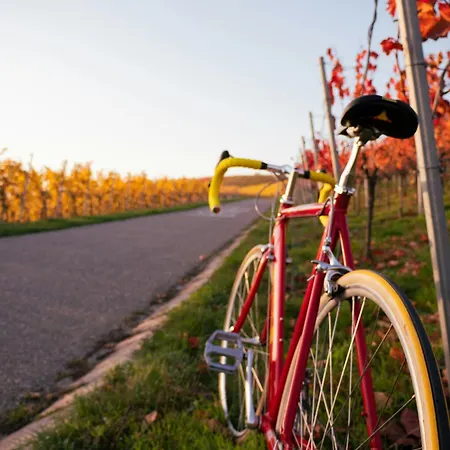 Dreamfactory - Wine Escapes 1br #