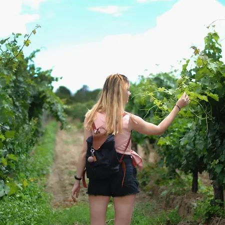 Appartamento Dreamfactory - Wine Escapes 1br #