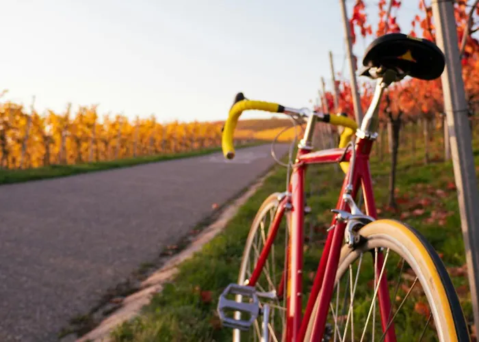 Dreamfactory - Wine Escapes 1br #