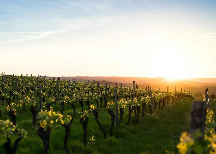 Dreamfactory Residence - Wine Escapes 1Br # Suite Apartment Langenlois