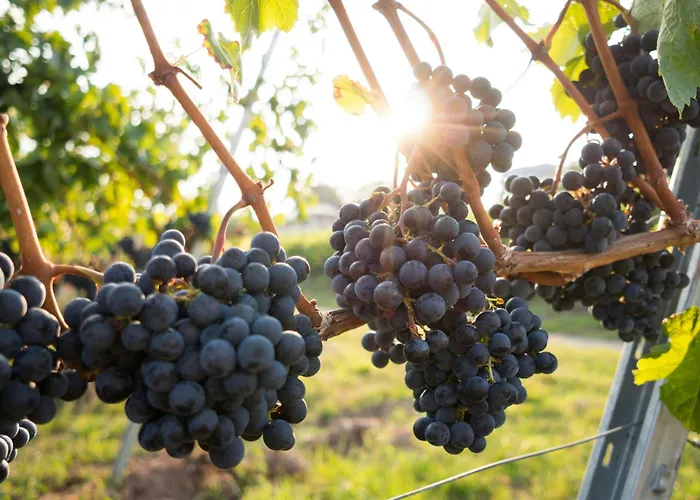 Dreamfactory Residence - Wine Escapes 1Br # Suite Apartment *