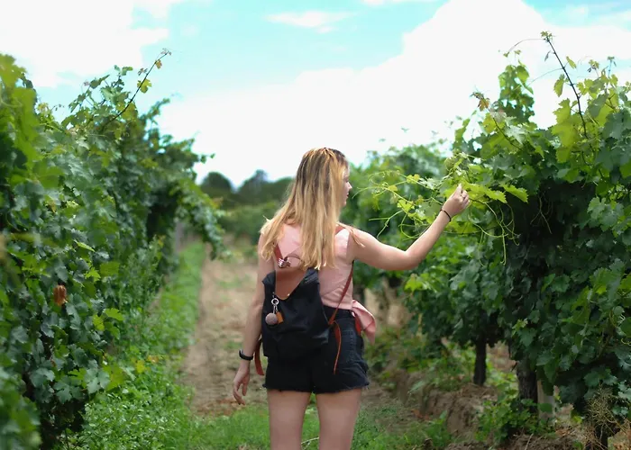 Appartamento Dreamfactory - Wine Escapes 1br #