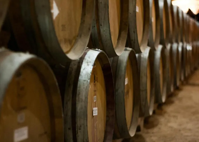 Appartamento Dreamfactory - Wine Escapes 1br # *