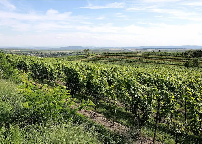 Dreamfactory - Wine Escapes 1br # Appartamento *